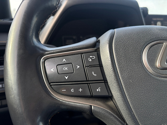 Lexus UX #live, 2019 года, пробег 116848 км