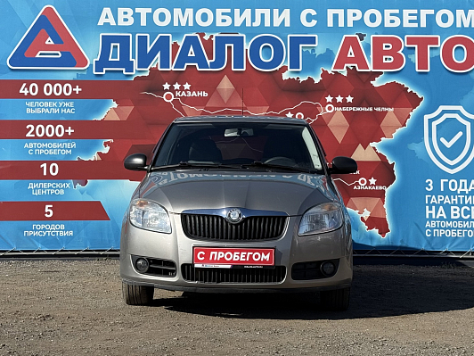 Skoda Fabia Classic, 2009 года, пробег 157664 км