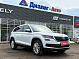 Skoda Kodiaq Hockey Edition, 2018 года, пробег 108726 км