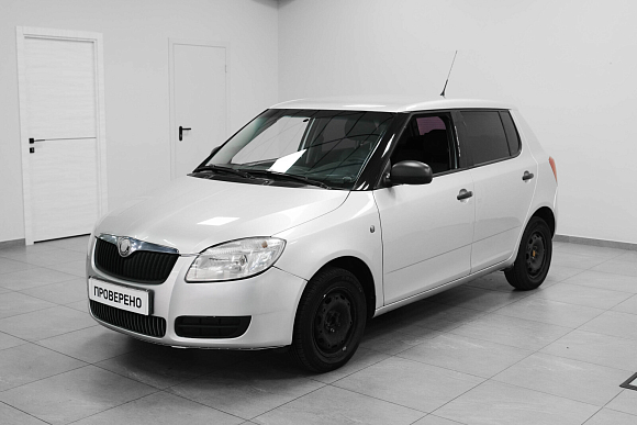 Skoda Fabia Classic, 2008 года, пробег 217000 км