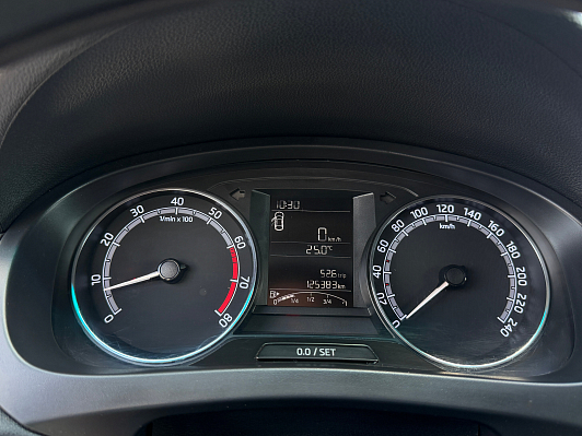 Skoda Rapid Hockey Edition Active, 2019 года, пробег 125430 км