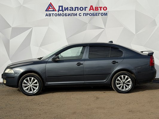 Skoda Octavia Active, 2008 года, пробег 220361 км