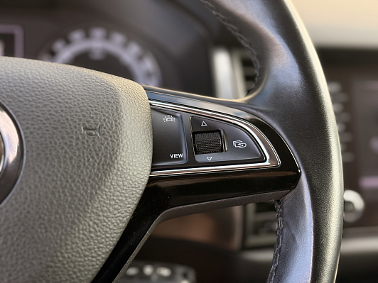 Skoda Kodiaq Active, 2019 года, пробег 118922 км