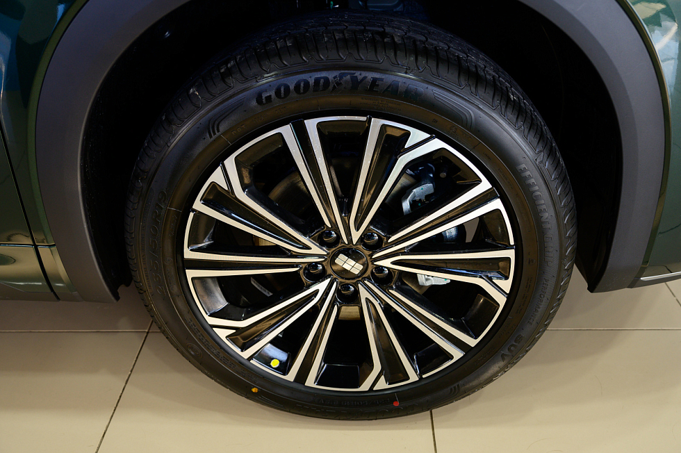 Geely EX5 EM-i Max, зеленый