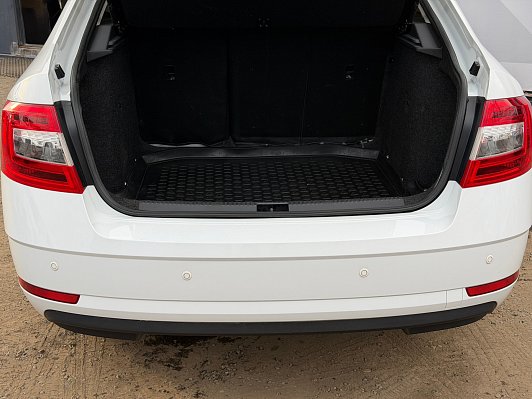 Skoda Octavia Active, 2020 года, пробег 143607 км
